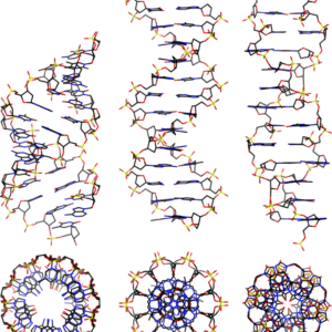DNA-TX H-field Service Three (3) Channel for (1) Year