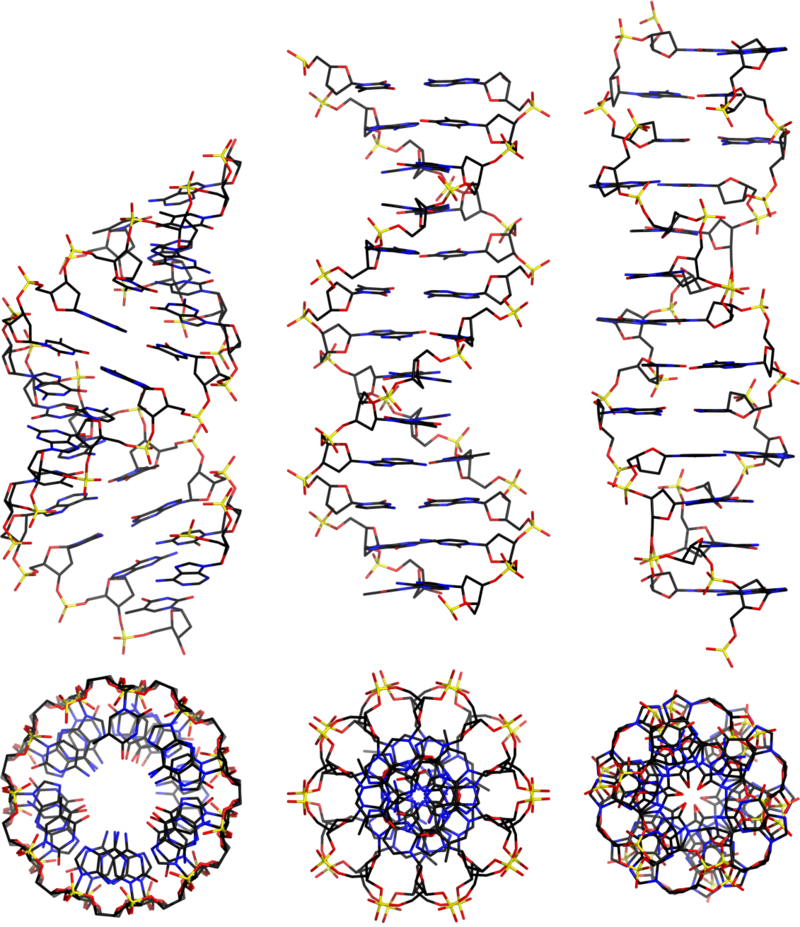 DNA-TX H-field Service Three (3) Channel for (1) Year