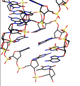 DNA-TX H-field Service Single (1) Channel for (1) Year