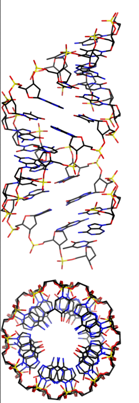 DNA-TX H-field Service Single (1) Channel for (1) Year