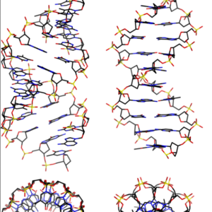 DNA-TX H-field Service Two (2) Channel for (1) Year