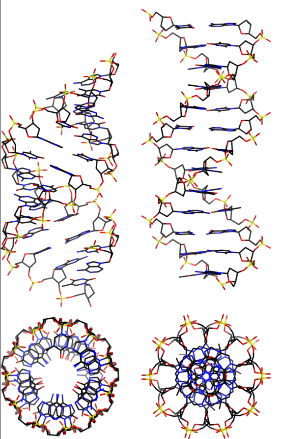 DNA-TX H-field Service Two (2) Channel for (1) Year