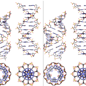 DNA-TX H-field Service Four (4) Channel for (1) Year