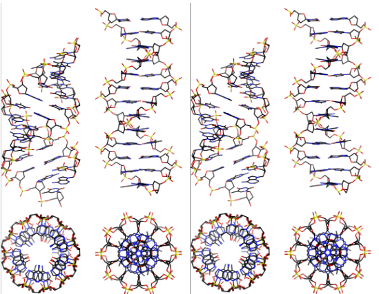 DNA-TX H-field Service Four (4) Channel for (1) Year